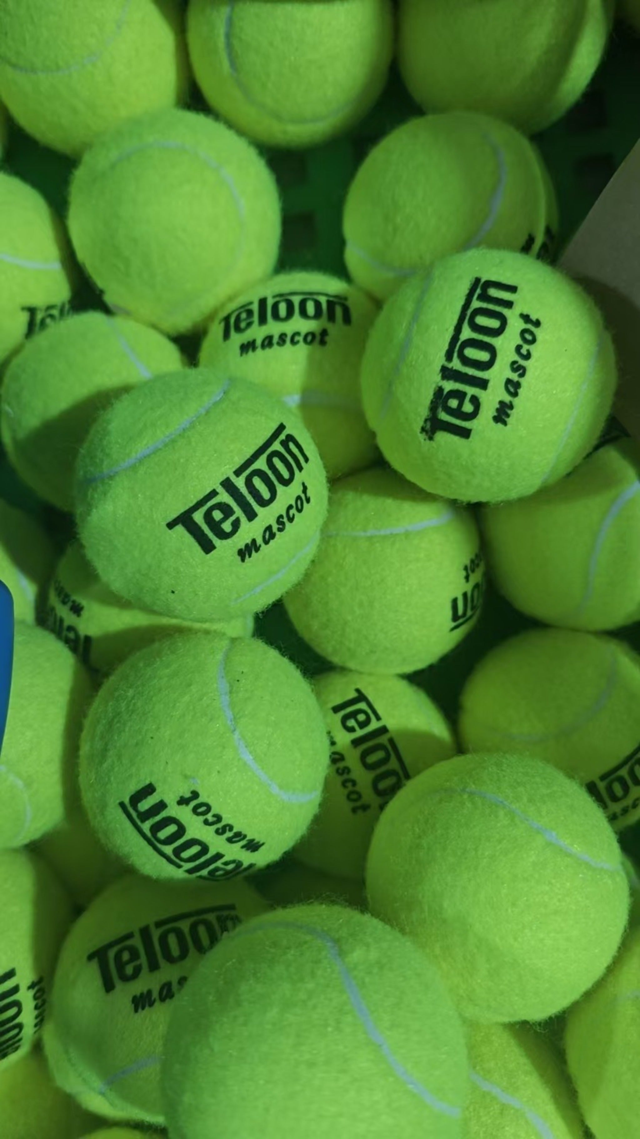Teloon 2801 Tennis Training Balls - 60 Pack