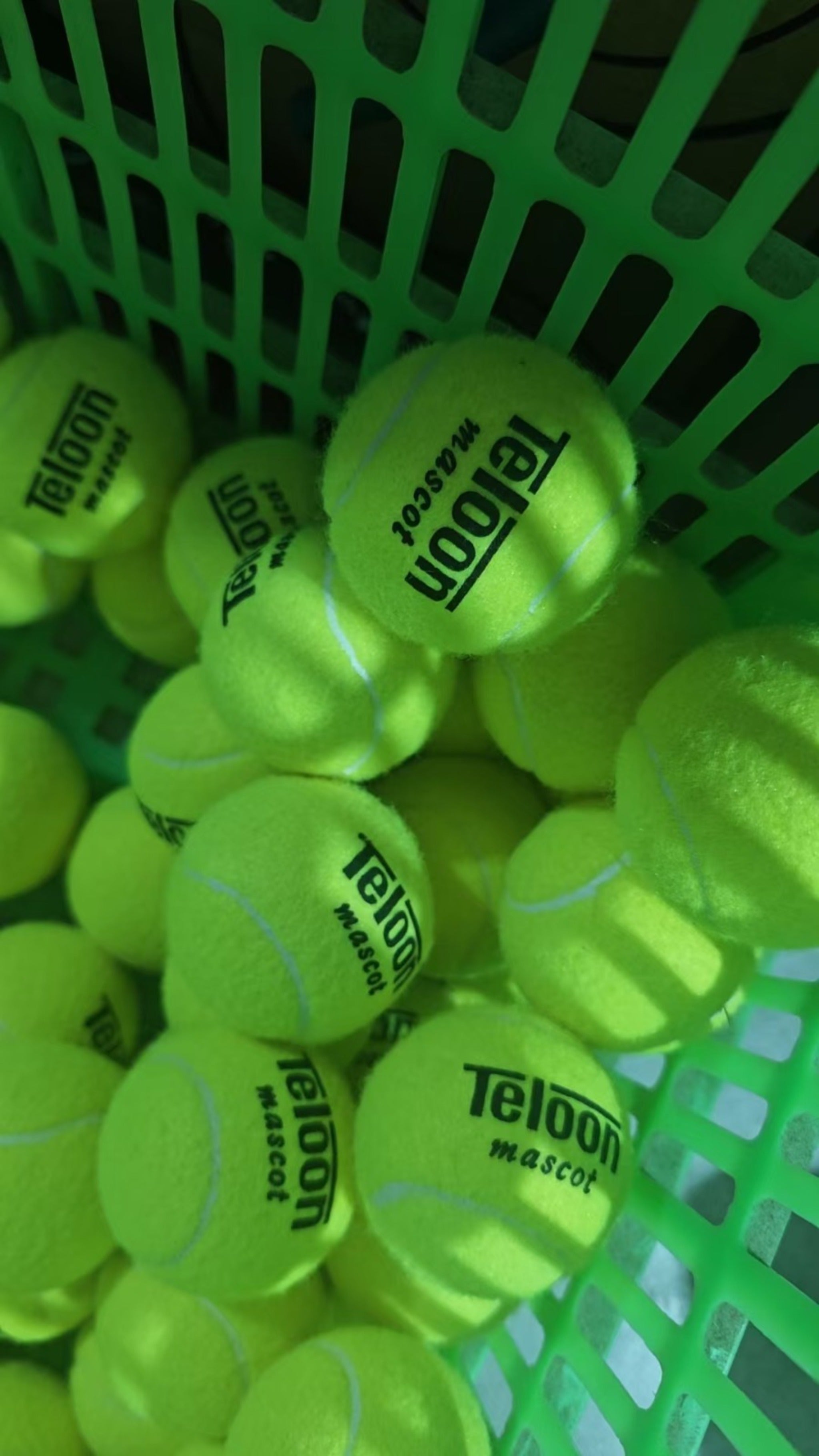 Teloon 2801 Tennis Training Balls - 60 Pack