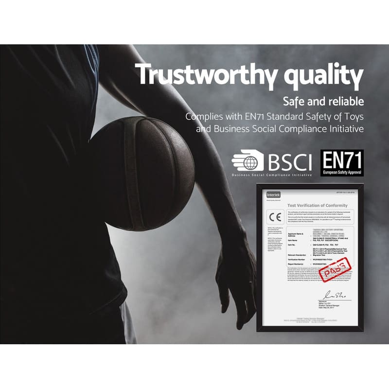 Trust worthy certificate of Everfit 44 inch Basketball Hoop Stand